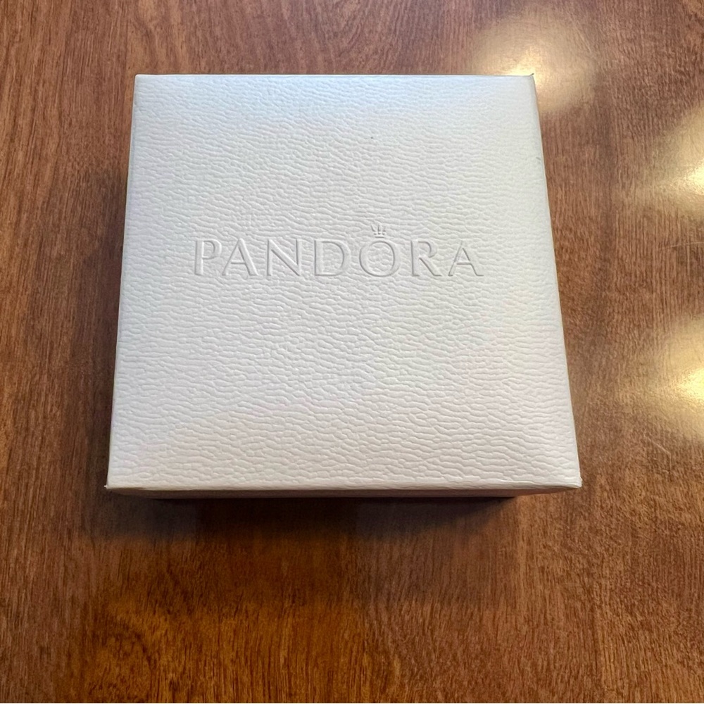 Pandora Silver Charm Bracelet with Heart Accents - Picture 4 of 4